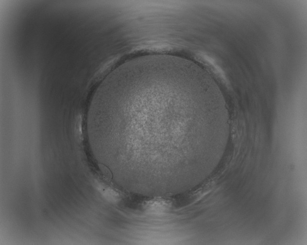 X0000073410115200608041008