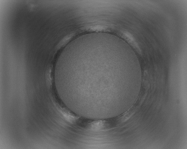 X0000073410116200608041008