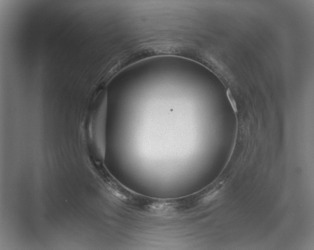 X0000073410117200608041008