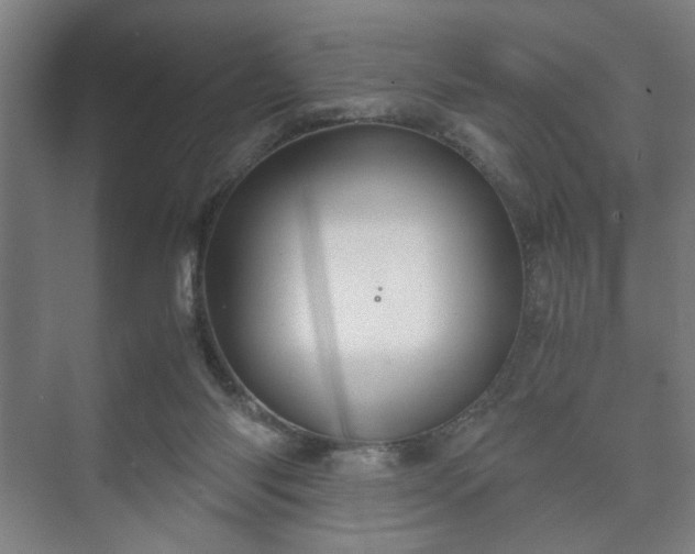 X0000073410118200608041008