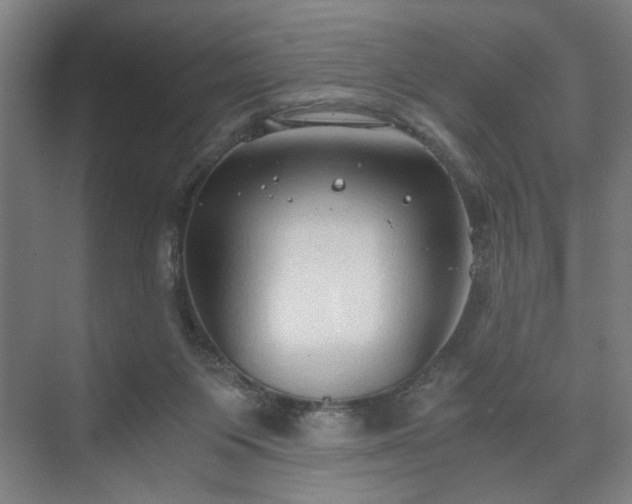 X0000073410119200608041008