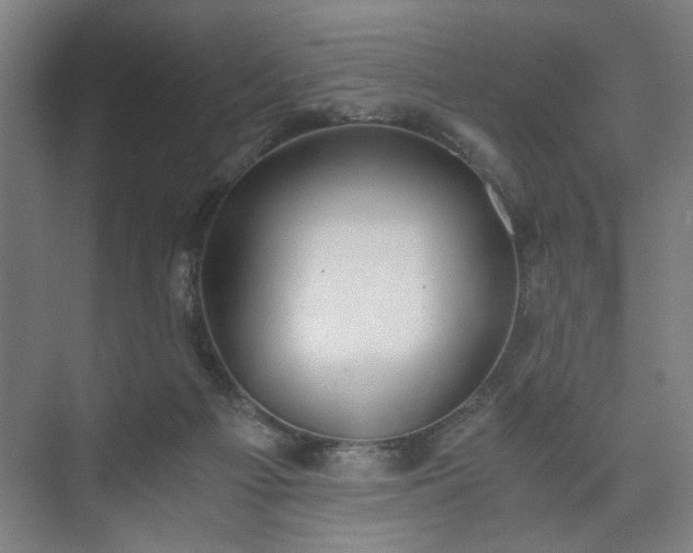 X0000073410121200608041008