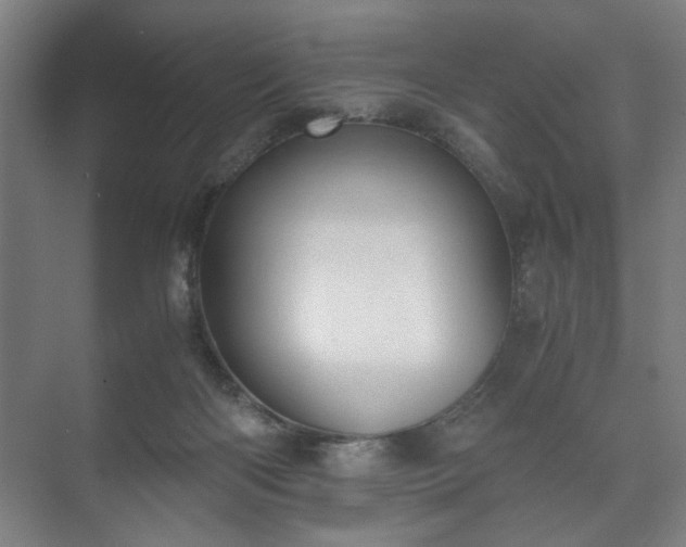 X0000073410122200608041008