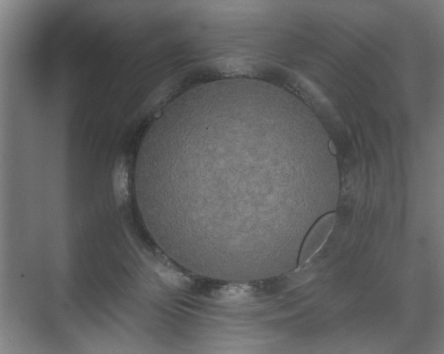 X0000073410124200608041008