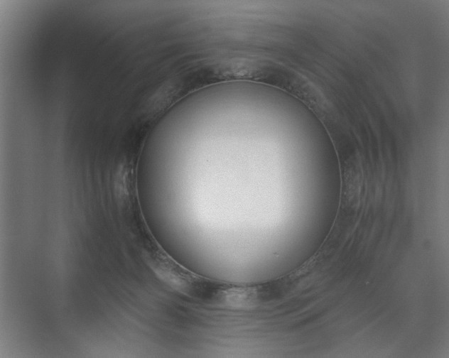 X0000073410126200608041008