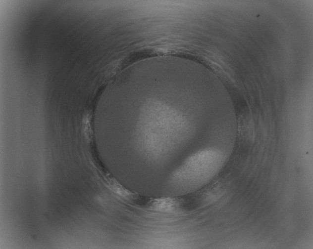 X0000073410127200608041008