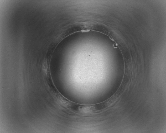 X0000073410129200608041008