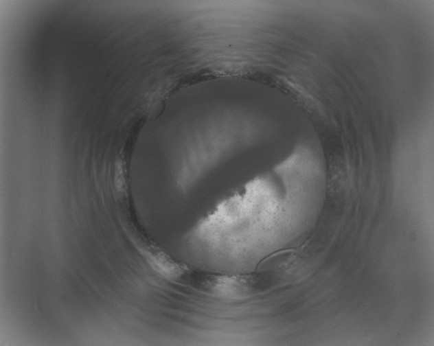 X0000073410130200608041008