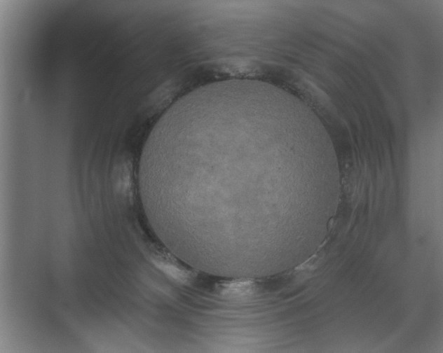 X0000073410132200608041008