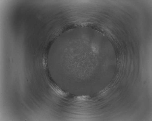 X0000073410134200608041008