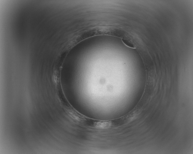 X0000073410135200608041008