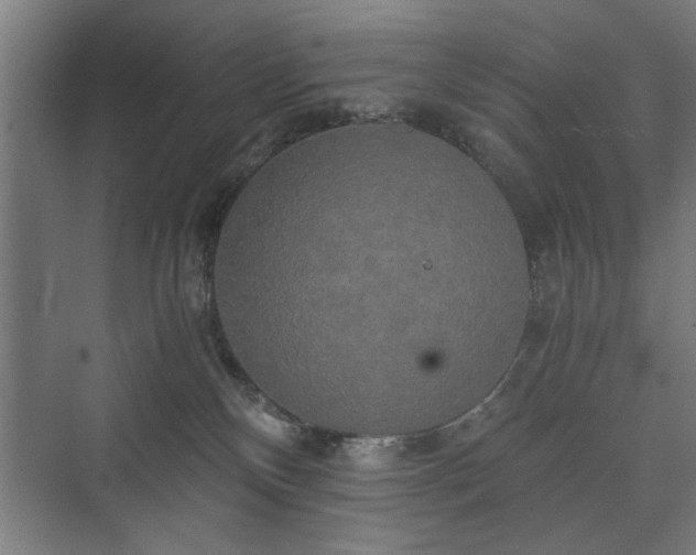 X0000073410136200608041008