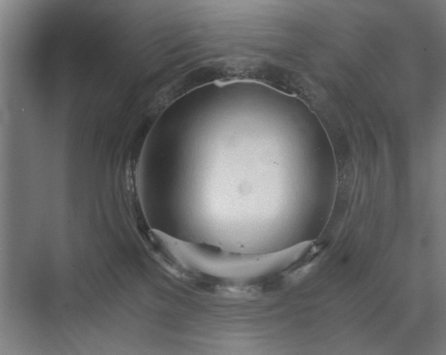 X0000073410137200608041008