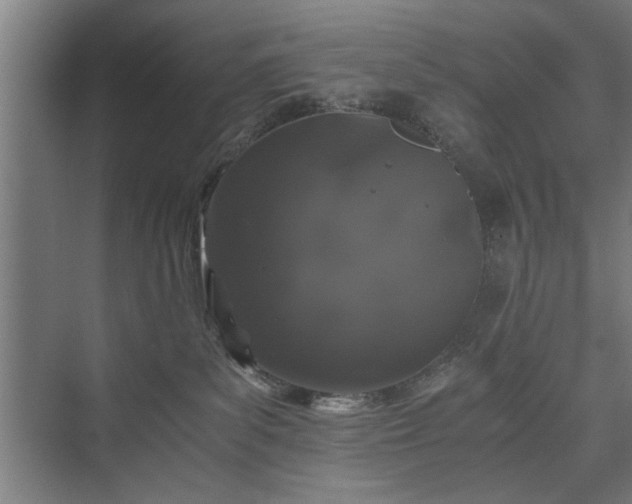 X0000073410139200608041008