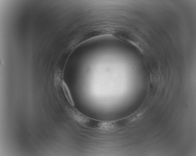 X0000073410141200608041008