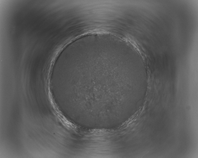 X0000073410145200608041007