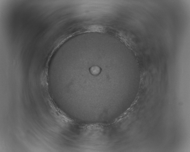 X0000073410146200608041007