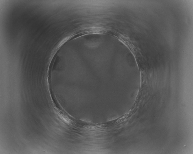 X0000073410147200608041007