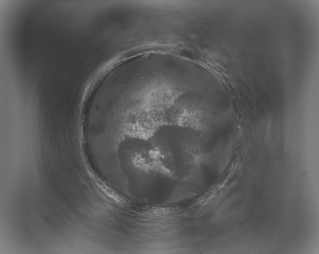 X0000073410149200608041007