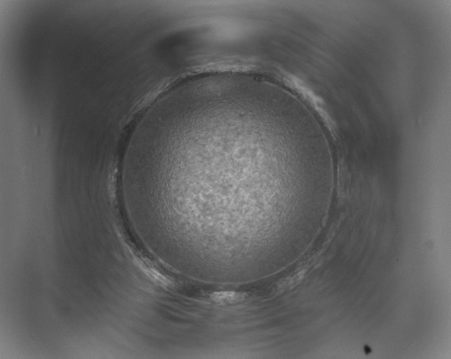 X0000073410153200608041007