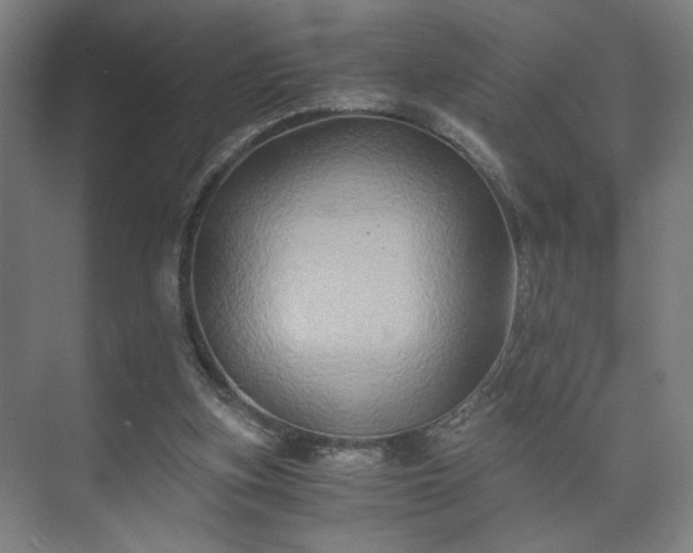 X0000073410155200608041007