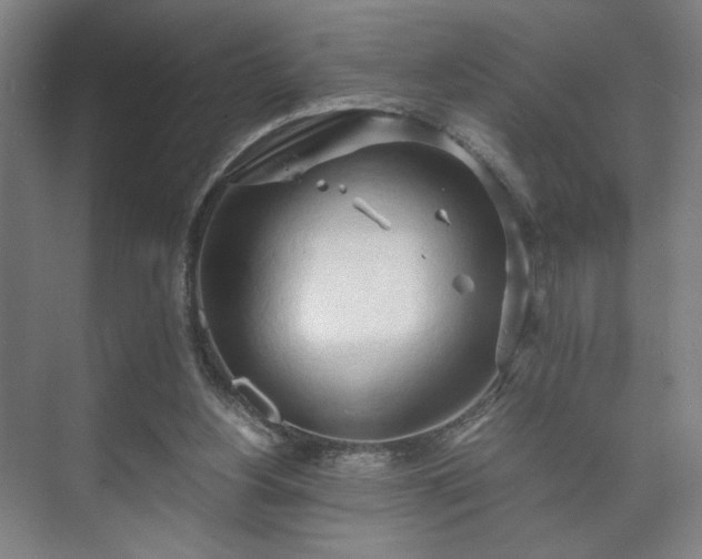 X0000073410156200608041007