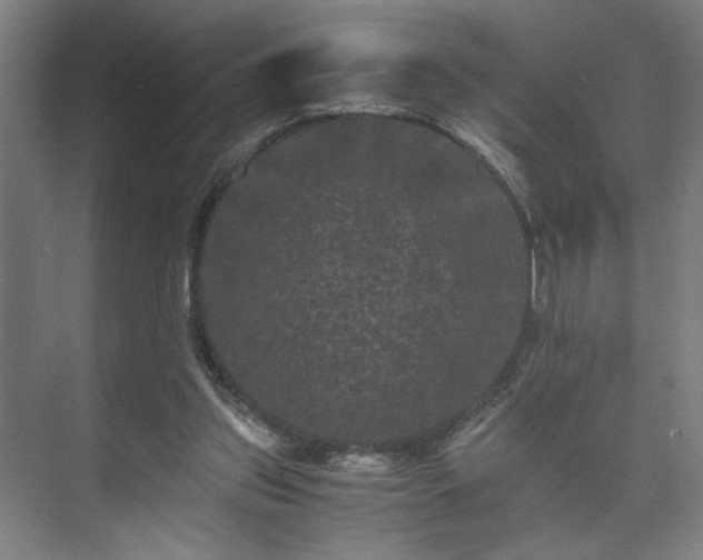 X0000073410157200608041007