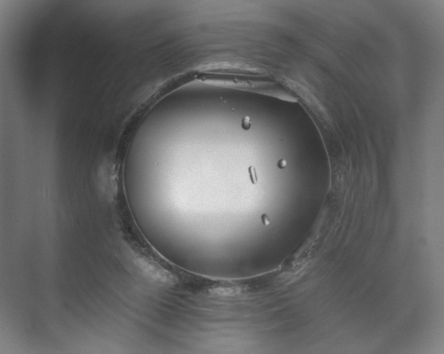 X0000073410160200608041007