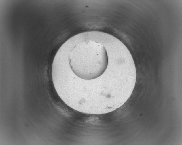 X0000073410162200608041007