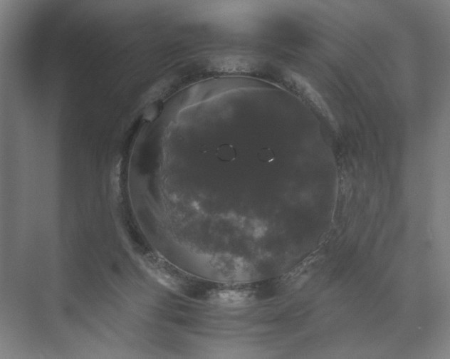 X0000073410163200608041007