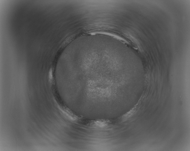 X0000073410166200608041007