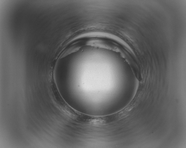 X0000073410168200608041007