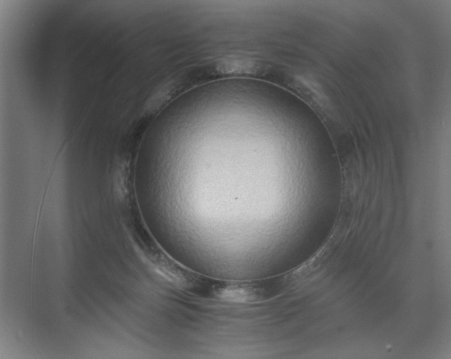 X0000073410171200608041007