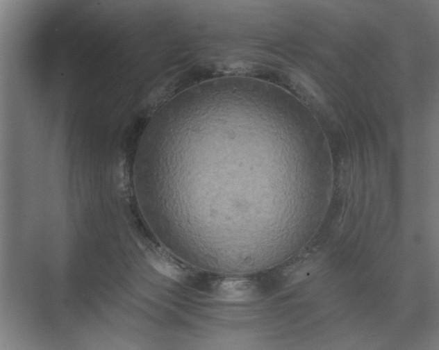 X0000073410173200608041008