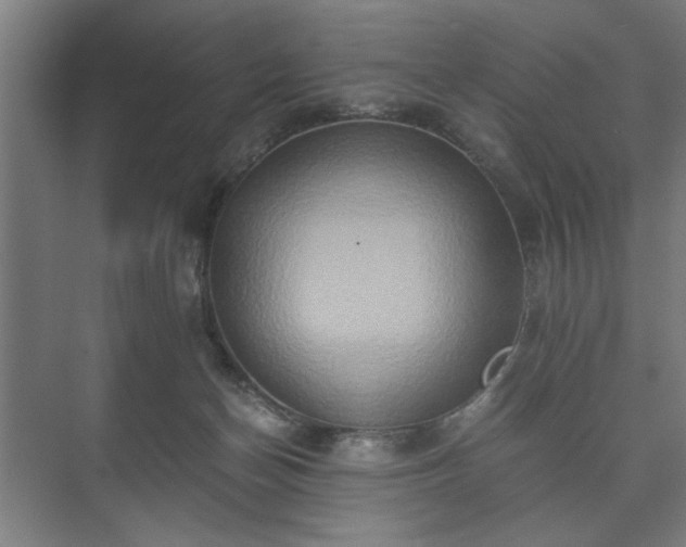 X0000073410174200608041008