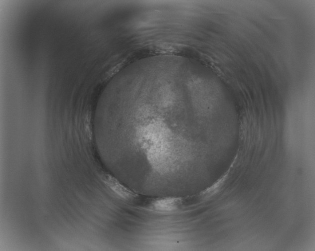 X0000073410178200608041008