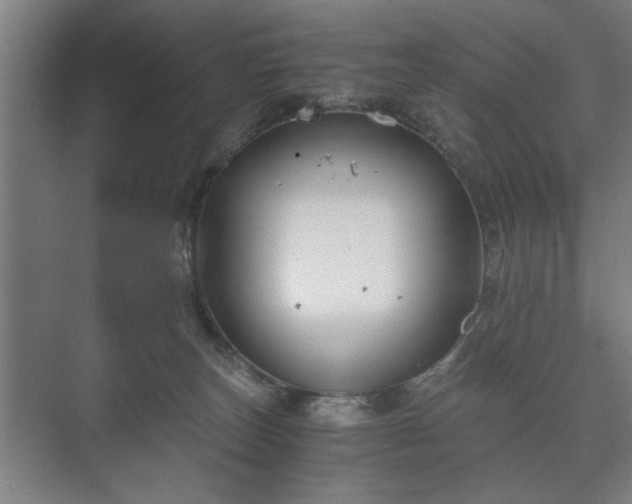 X0000073410179200608041008