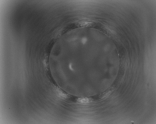 X0000073410181200608041008