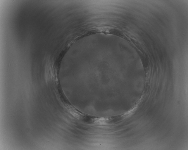 X0000073410182200608041008