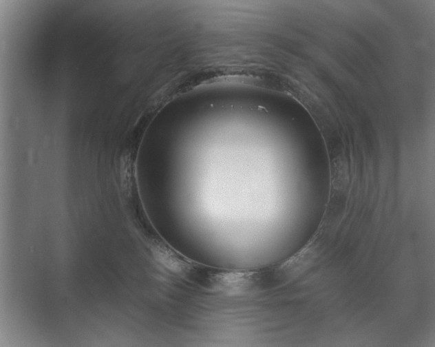 X0000073410184200608041008