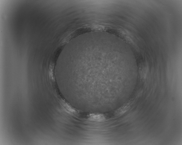 X0000073410185200608041008