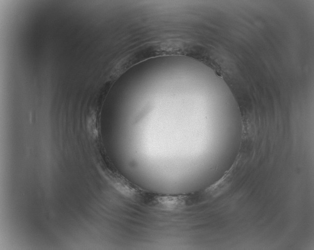 X0000073410187200608041008