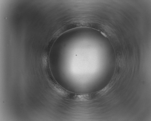 X0000073410188200608041008