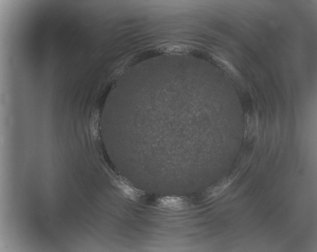 X0000073410189200608041008