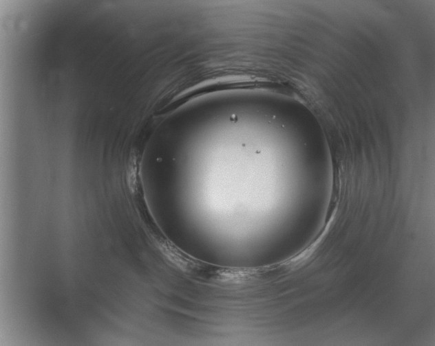 X0000073410190200608041008