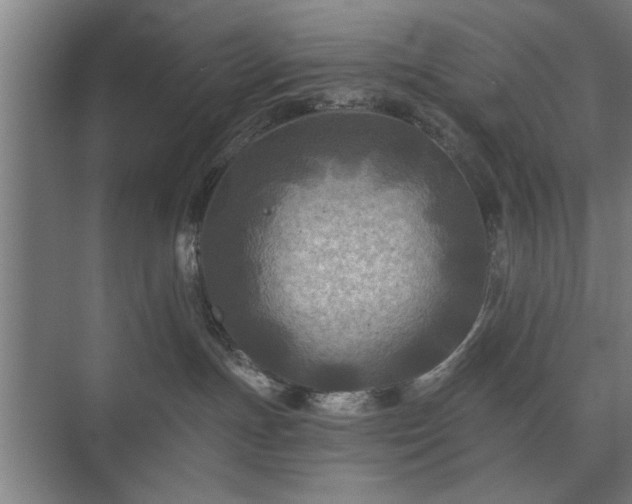 X0000073410191200608041008