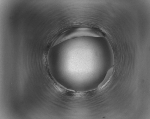 X0000073410192200608041008