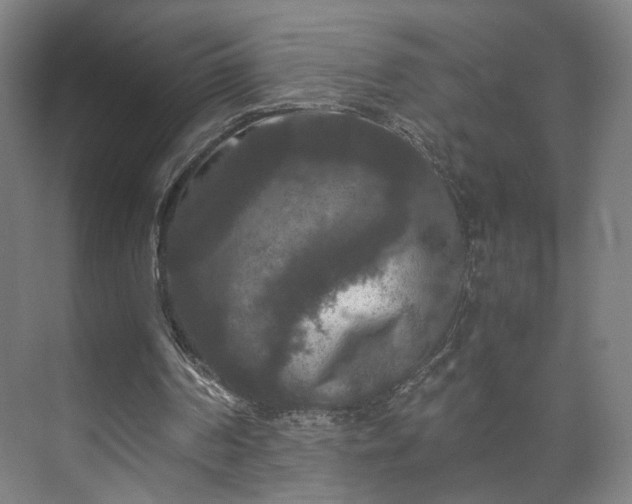 X0000073410194200608041007