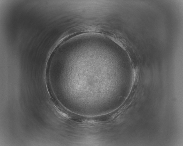 X0000073410195200608041007