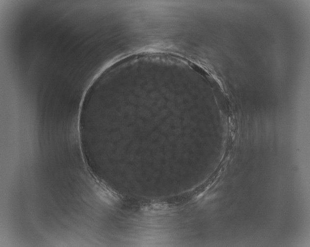 X0000073410196200608041007